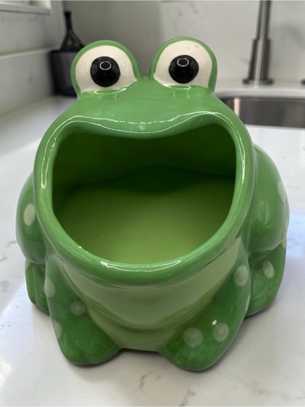VTG Green Wide Mouth Ceramic Frog Sponge Holder Boston Warehouse Trading Corp
